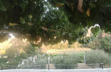 House Moschα - Foto 15