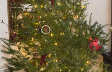 Casa Vicente - Foto 7