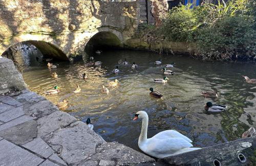 MOONGATE by BOURNECOAST - A Delightful Chalet Bungalow with a Garden and Parking - HB10672 - Foto 34