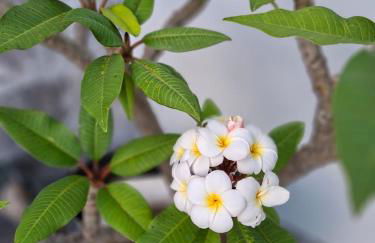 Casa da Torre - Photo 23