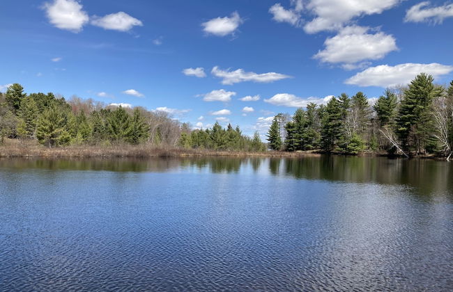 Musky Joes Twin Pines Resort - Foto 34