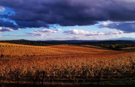 La casa di Elvira - Foto 32