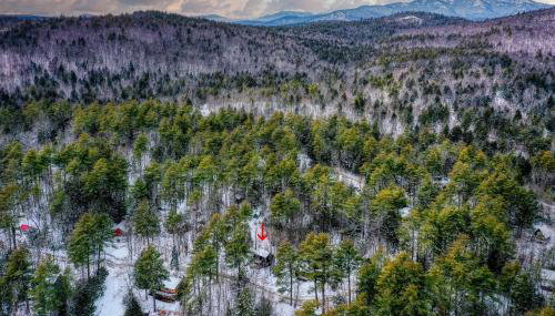 Cozy in the Woods - Foto 5