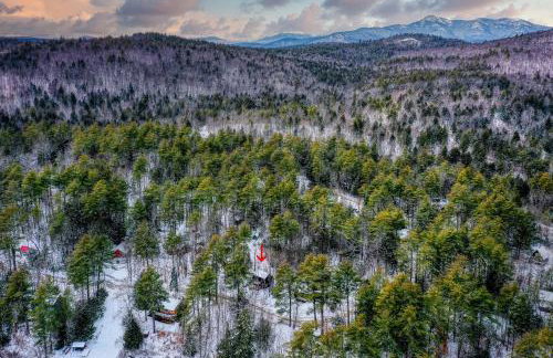 Cozy in the Woods - Foto 5