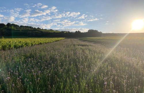 The Gate House & Winery - Foto 20