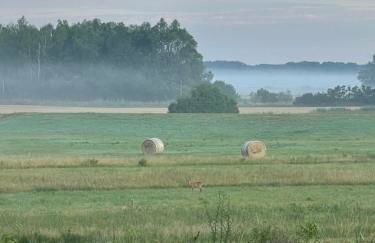 Altrhein Hideaway - Foto 2