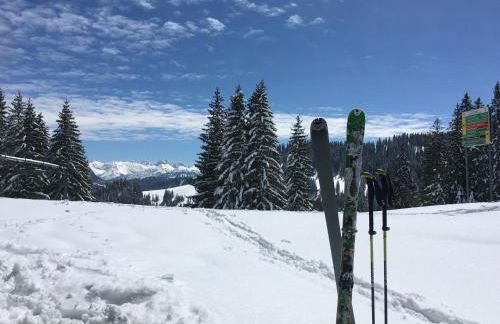 Gemütliche Ferienwohnung Bergwiese, 2-Raum, separates Schlafzimmer, schönen Balkon oder Terrasse, Komfort Ausstattung, ruhige Südlage, kostenfrei WLAN und schöne helle Sauna, Brötchenservice, Parkplatz, Hunde auf Anfrage, E-Tankstelle, Sonnenlage - Photo 35