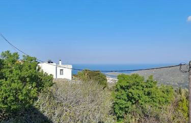 SummerAndros Skalario - Foto 30
