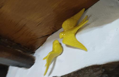 Montanhas do Xisto - Casa do Portal - Foto 7