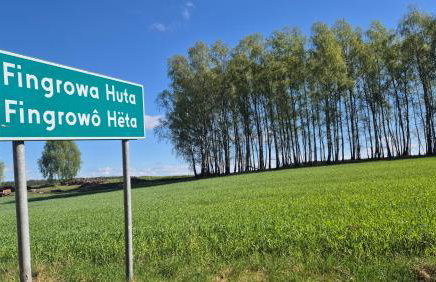 Domek Adam - Jacuzzi dodatkowo płatne - Foto 71