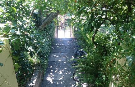 Apartments Petković - Foto 14