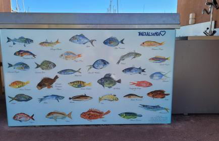 Seaview house, close Cannes, pool, garden. garage - Foto 57