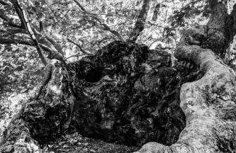 Kalliopi's Apartment - Photo 39