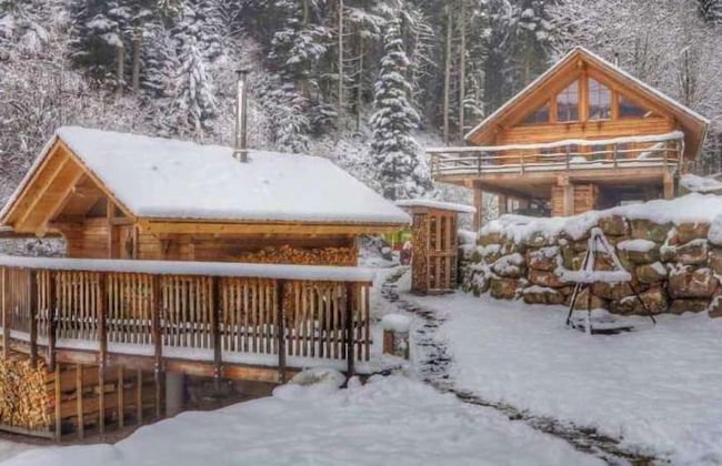 Blockhaus Schwarzwald Hütte - Foto 26