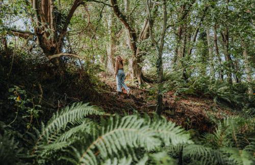 Briarfield Farm Stays - Uisce Cabin - Foto 24