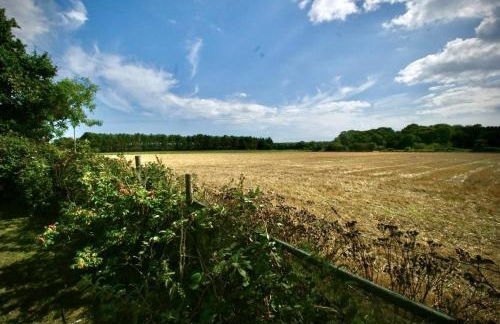 Nightingale Cottage, near Aldeburgh and Orford - Foto 44