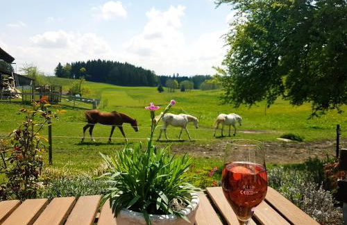 Klosterhof Eggenreute - Foto 33