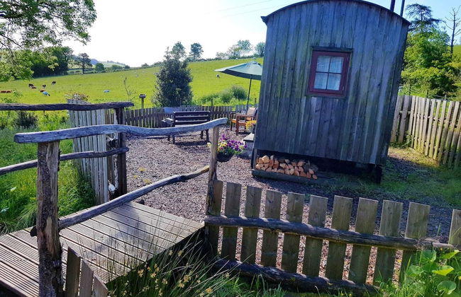 Eco Accommodation Cornflower Holiday - Foto 3