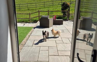 Luxury Peak District stay set in private land with horses and country Pub - Dog Friendly - Foto 45