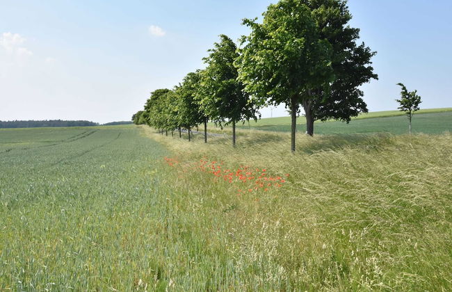 Gemuetliche Wohnung in Kroepelin mit Terrasse - Foto 21