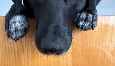 Ellis-Ferienwohnung-Erzgebirge - Foto 4