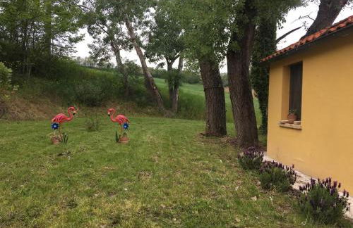 Agriturismo Fattoria del Colle - Foto 11