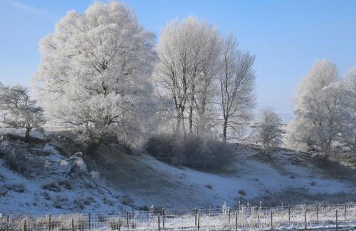 Cosy Cottage - Photo 17