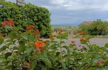 Agriturismo - "La Funicolare" - Photo 10