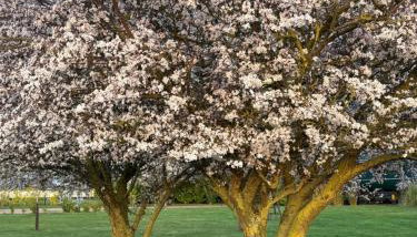 The Carriage Ely - Foto 4