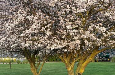 The Carriage Ely - Photo 4