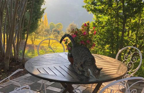 Masia Cap del Roc - Photo 47