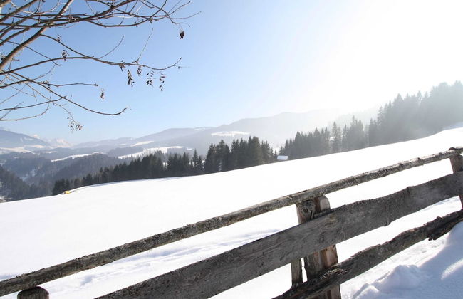 Apartment in Huttau Near ski Area - Foto 21