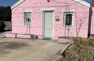 Pink Flamingo at the Beach cottage - Photo 4