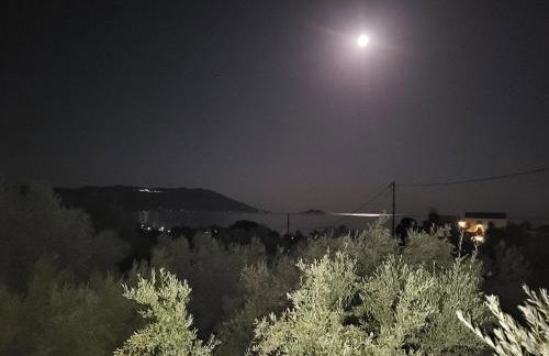 Olive Τree Ηouses - Foto 11