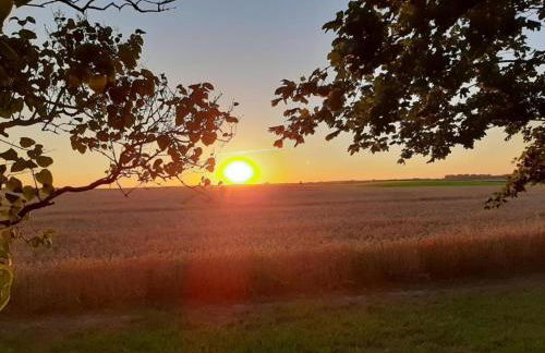 Krusenhagen Apartment With Garden - Foto 80