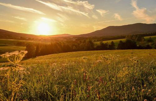 Bayerwald Chalet Kaitersberg mit Sauna, Sonnenterrasse und Garten - Foto 24