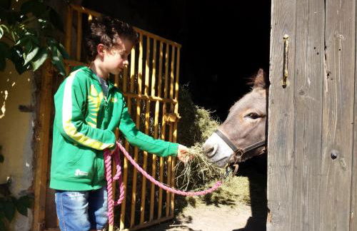 Ferienhof Neudeck - Foto 9