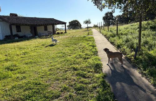 Apartamentos Rurales Escobar & Jerez - Photo 32