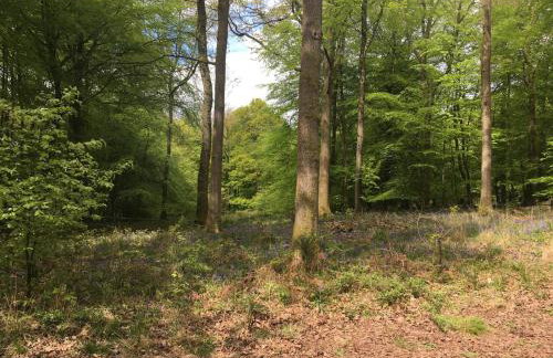 1 Bed in Cinderford oc-73633 - Photo 24