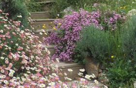 Les Mas d'Azur Appartement - Foto 65