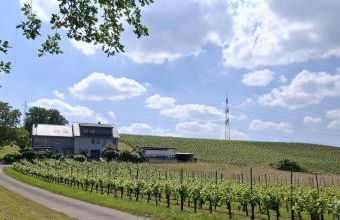Ferienwohnung "Auf Plandert" - Foto 23