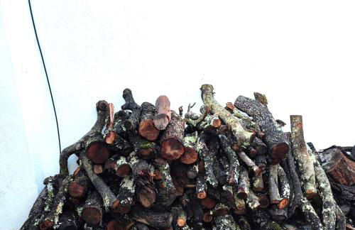 O Quintal - Barrancos - Foto 11