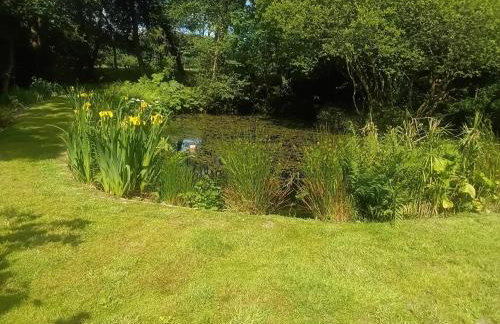 Cottage hideaway on the edge of Bodmin Moor - Foto 20