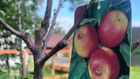 Midtown Outdoorsy Apartment - Foto 4