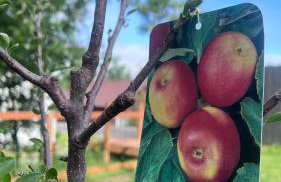 Midtown Outdoorsy Apartment - Foto 4