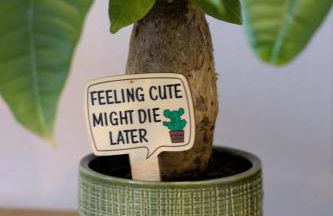 Idyllisches Wohnen in grüner Oase - Foto 13