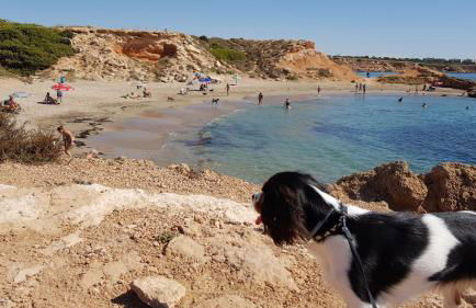 3 BDR House near La Zenia PRIVATE lounge terraces, fire places, BBQ, kitchen, parking - Foto 49