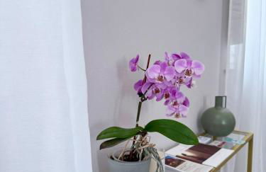 Casa Lazzari - Giardino Segreto a 3 min da Villa Maria Cecilia Hospital - Foto 15