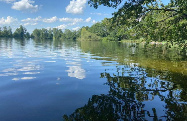 Eco-friendly Chalet Near the Lake in Asten - Photo 67
