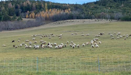 Superbe ferme rénovée en chalet de luxe en PLEINE NATURE - Foto 4